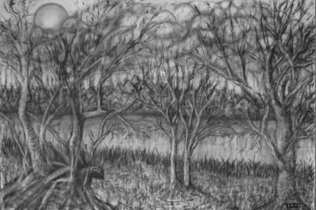  "Cloudy"	70 x 100 cm, houtskool op doek
